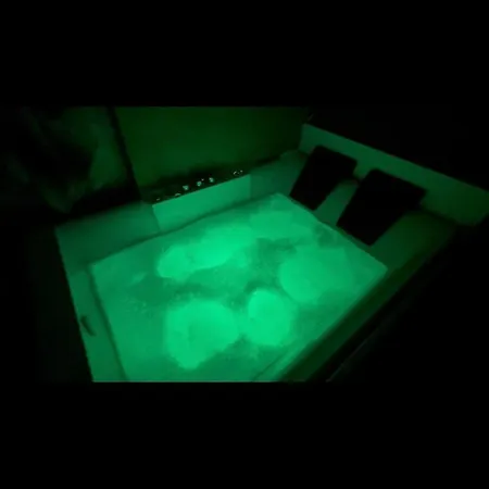 Апартаменты Luxury Jacuzzi Suite- Astir,tirana